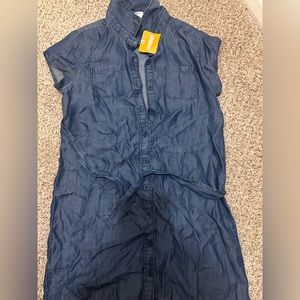 Gymboree dress